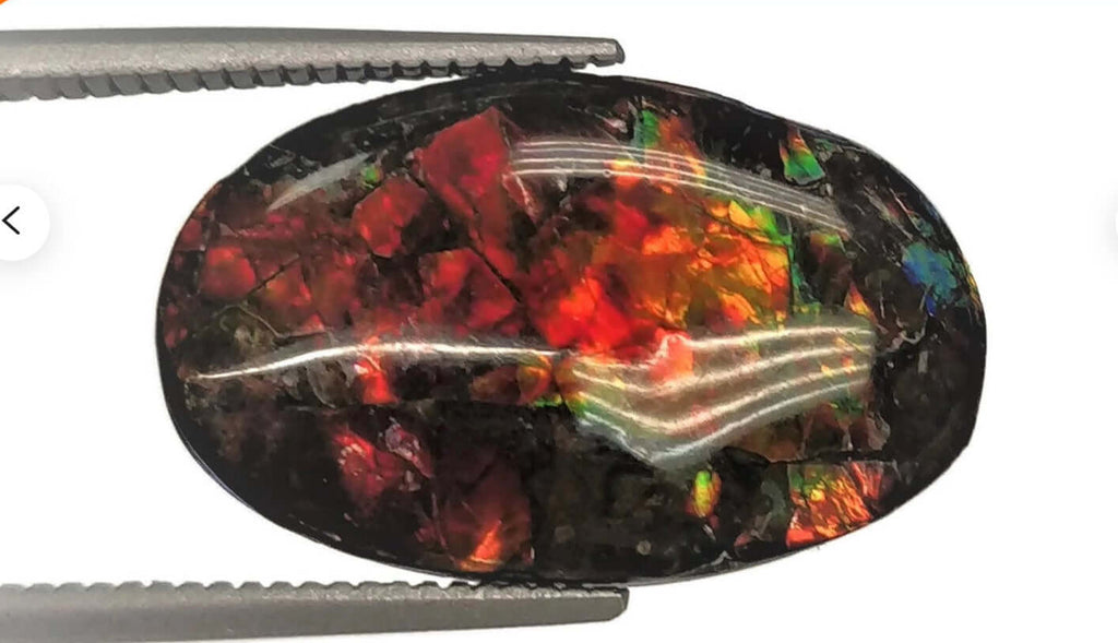 Ammolite