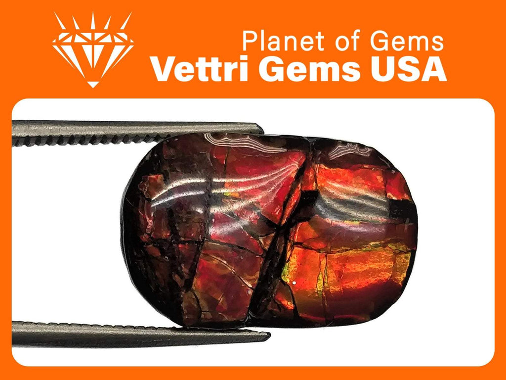 Ammolite Fancy 7.5cts-Ammolite-Planet Gemstones