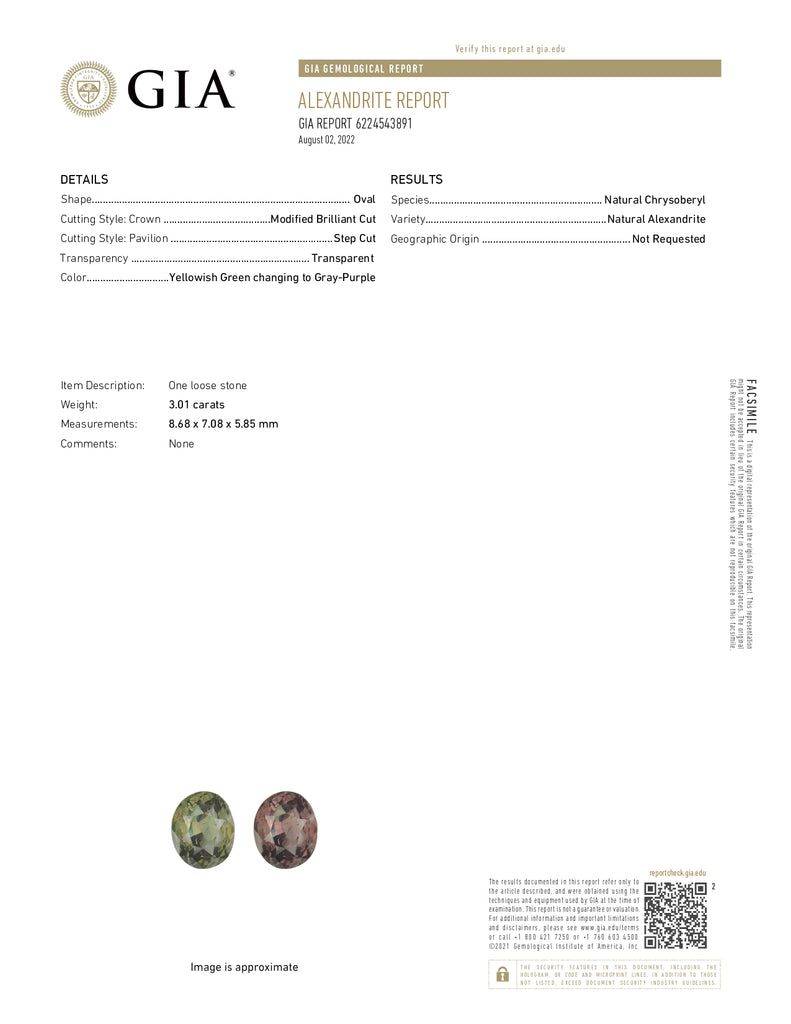 GIA Certified 3.73ct Alexandrite and Diamond with 14k Multi Gold Women's Ring-Rings-Planet Gemstones
