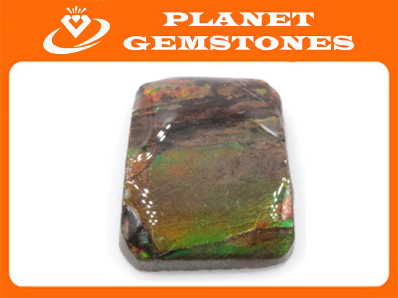 Ammolite Fancy shape-Planet Gemstones