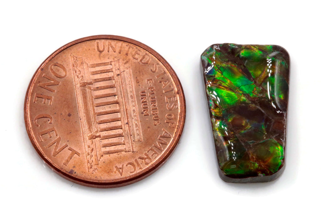 Ammolite Fancy 17x11mm-Ammolite-Planet Gemstones