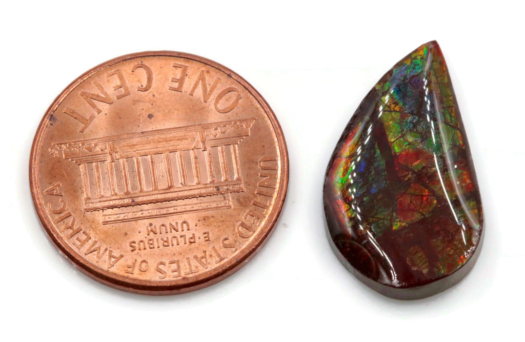 Ammolite Fancy 20x12mm-Ammolite-Planet Gemstones