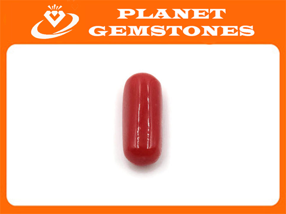 Coral Cabochon 15x6mm-Planet Gemstones