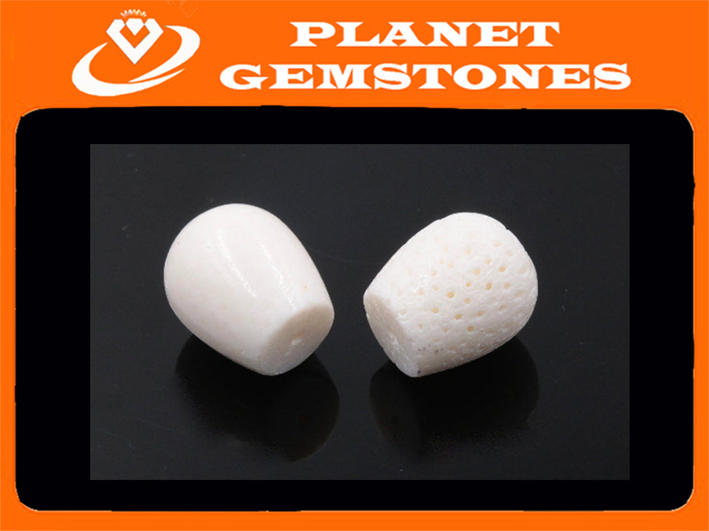 Natural White Coral Beads Barrel 15x17mm 2pcs SET DIY Jewelry Supplies Agate beads-Planet Gemstones