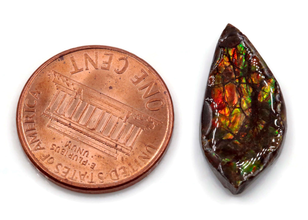 Ammolite Fancy 22x11mm-Ammolite-Planet Gemstones