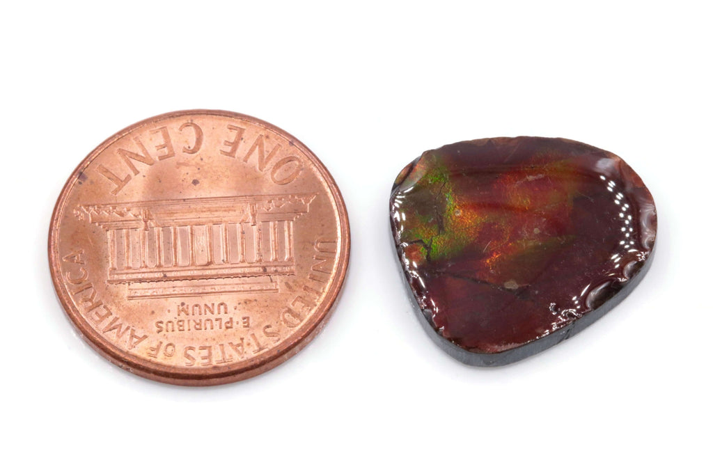 Ammolite Fancy 17x15mm-Ammolite-Planet Gemstones