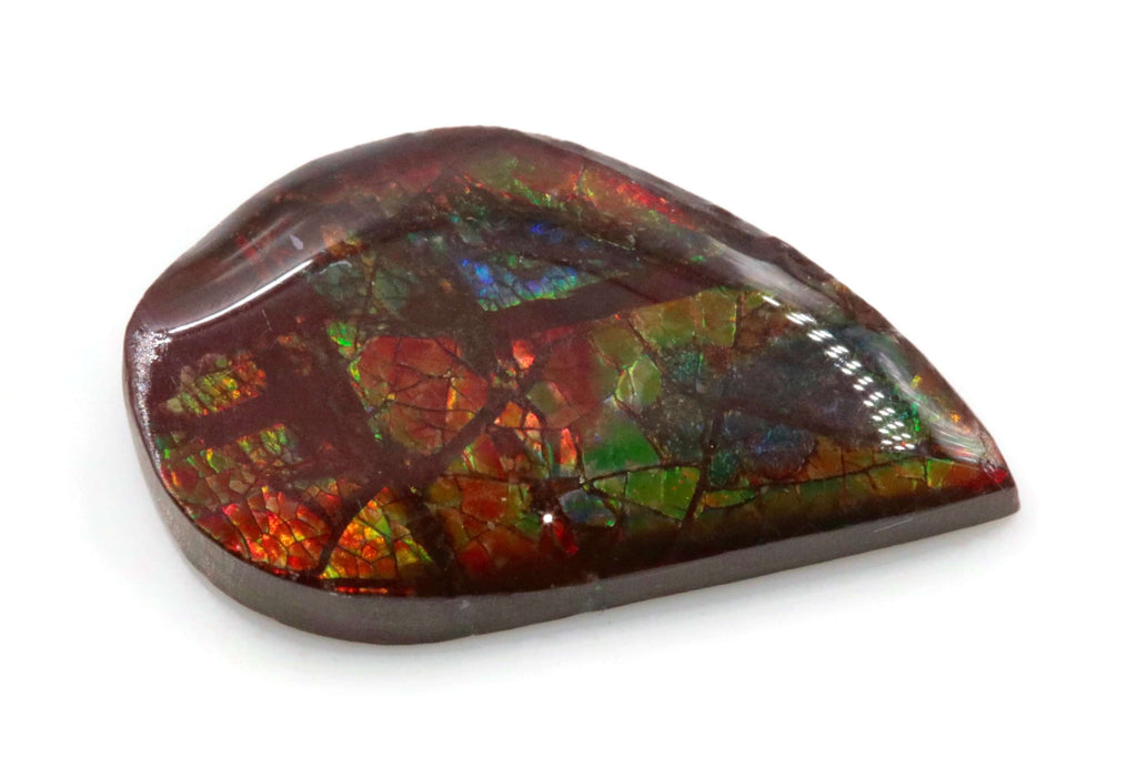 Genuine natural ammolite gemstone