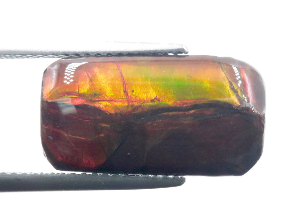 Ammolite Rectangular 18x9mm-Planet Gemstones