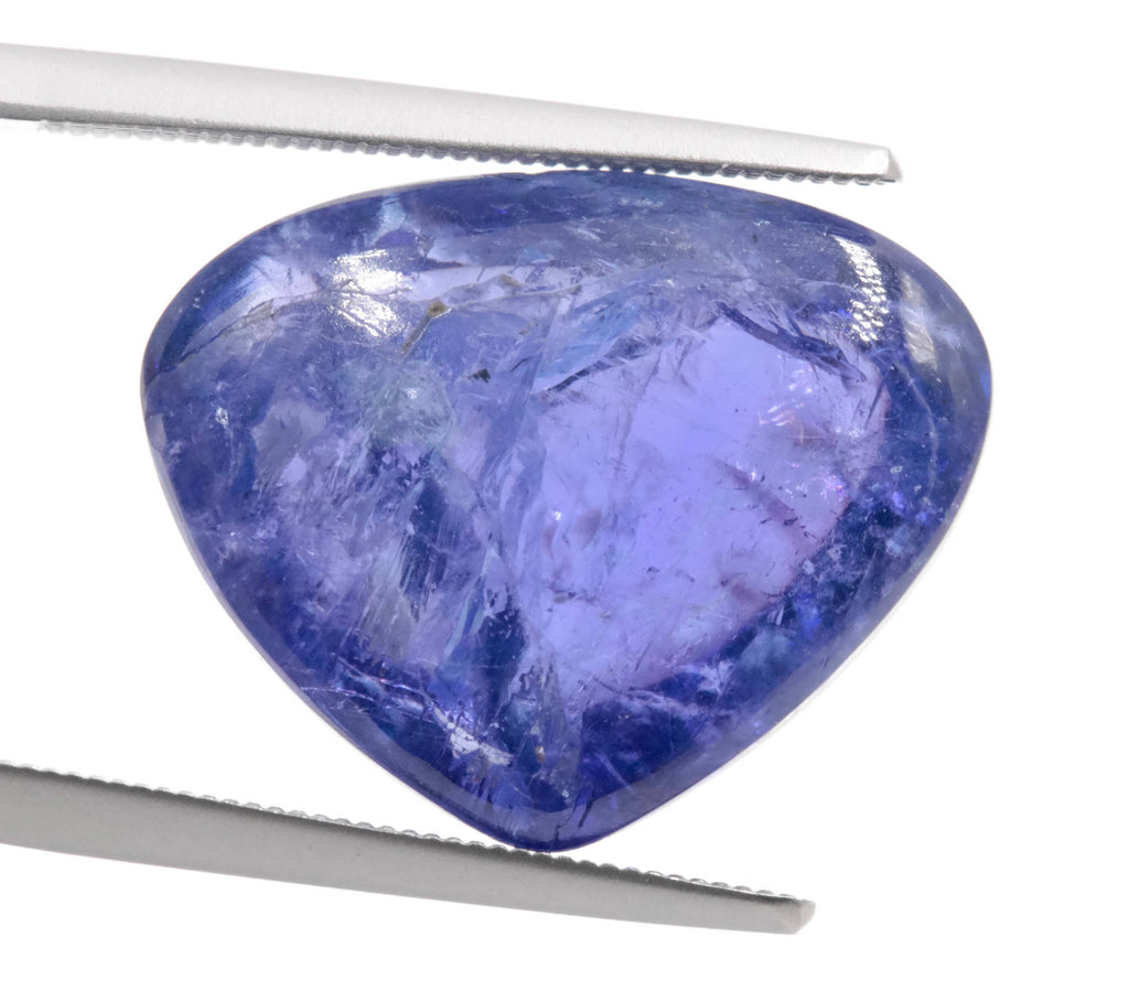 Tanzanite Trillon Cabochon 15X19mm-Tanzanite-Planet Gemstones