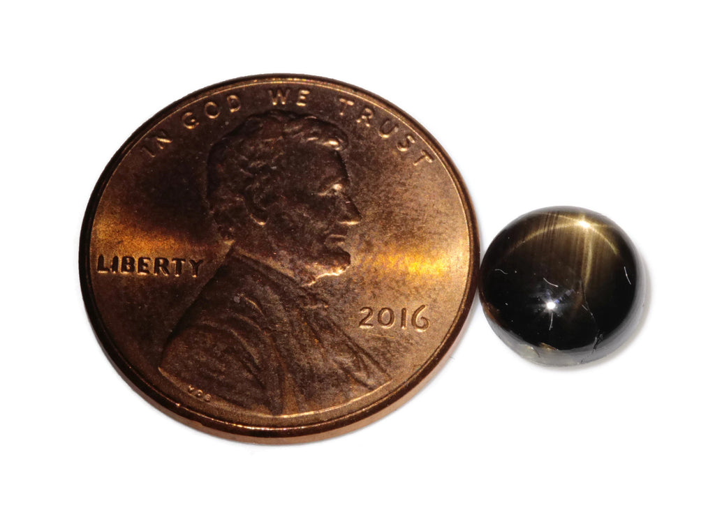 Natural Sapphire Star Sapphire Black Star Sapphire September Birthstone Golden Star Sapphire DIY Jewelry Supplies RD 3ct 8mm-Planet Gemstones