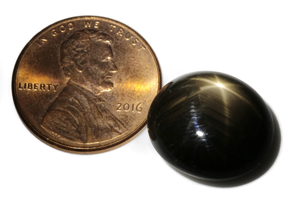 Natural Sapphire Star Sapphire Black Star Sapphire September Birthstone Golden Star Sapphire RD 19.97ct 16x14mm DIY Jewelry Supplies-Planet Gemstones
