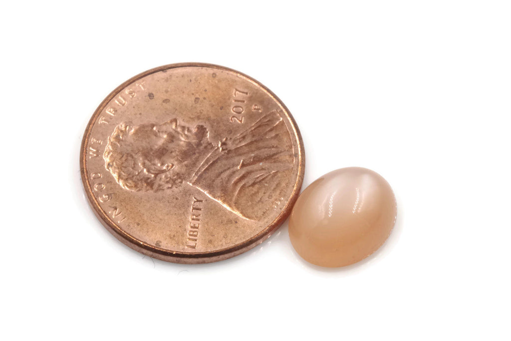 Moonstone Oval 10x8mm-Planet Gemstones