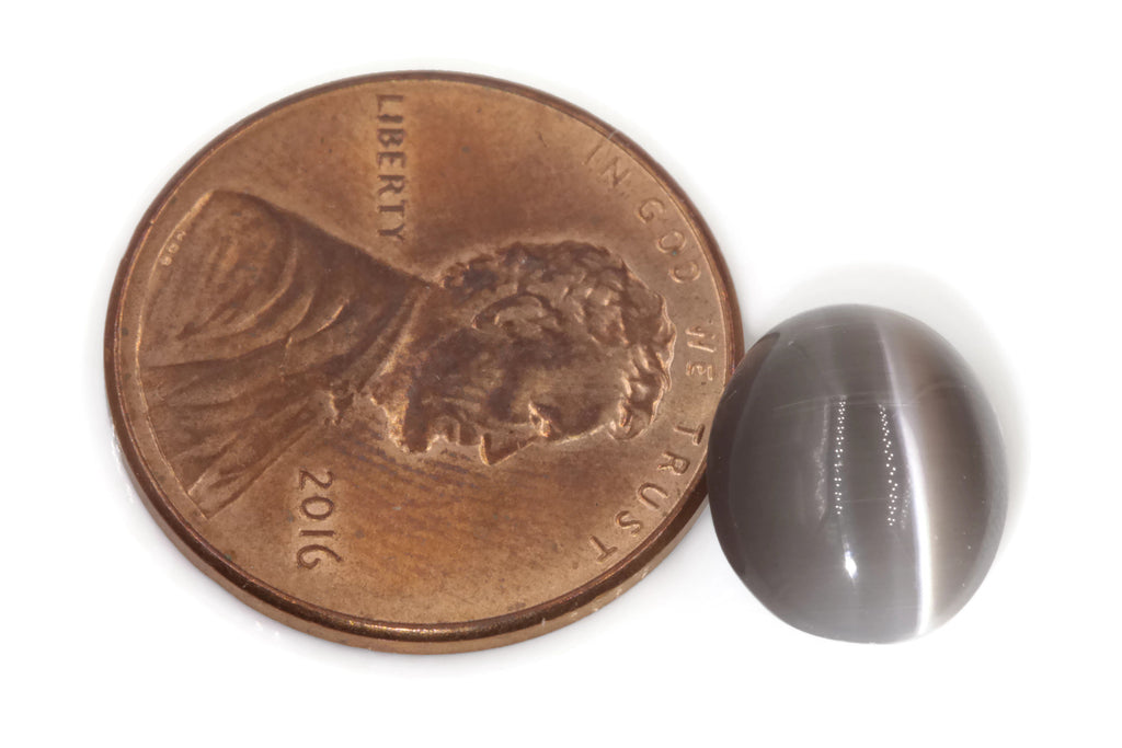 Sillimanite Cats Eye Oval 11x9mm-Planet Gemstones
