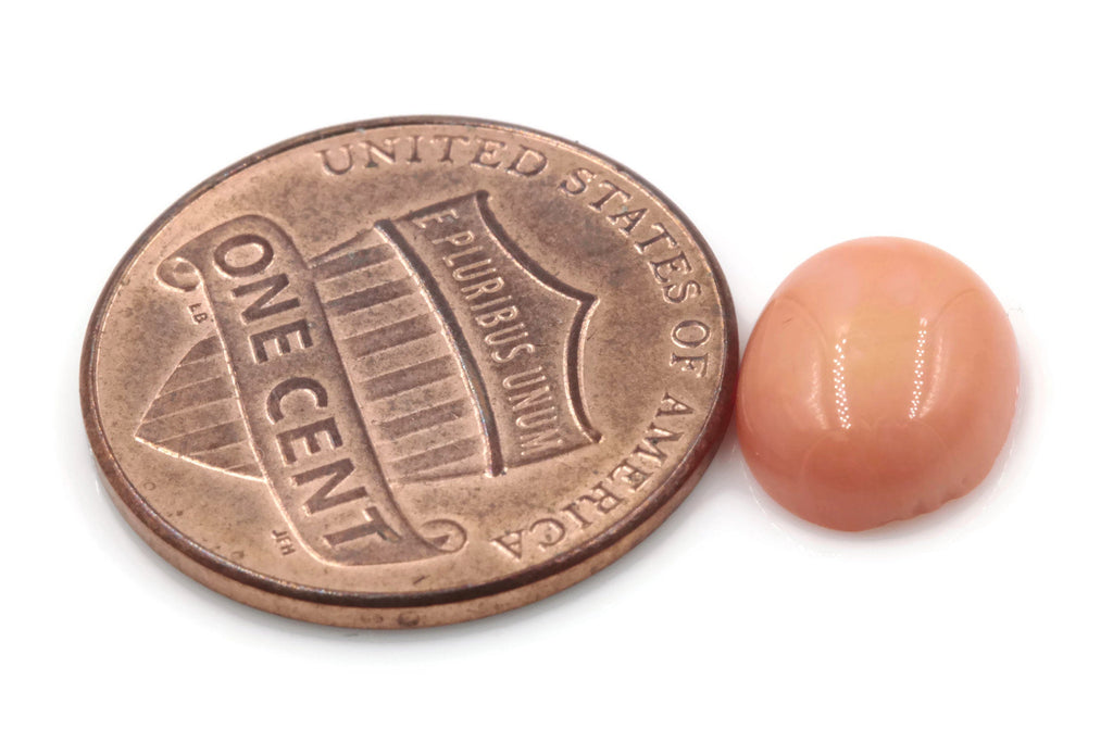 Natural Salmon Coral Gemstone Genuine Coral Stone Taiwan Coral DIY Jewelry Supplies 10x8mm OV DIY Jewelry Supplies-Planet Gemstones