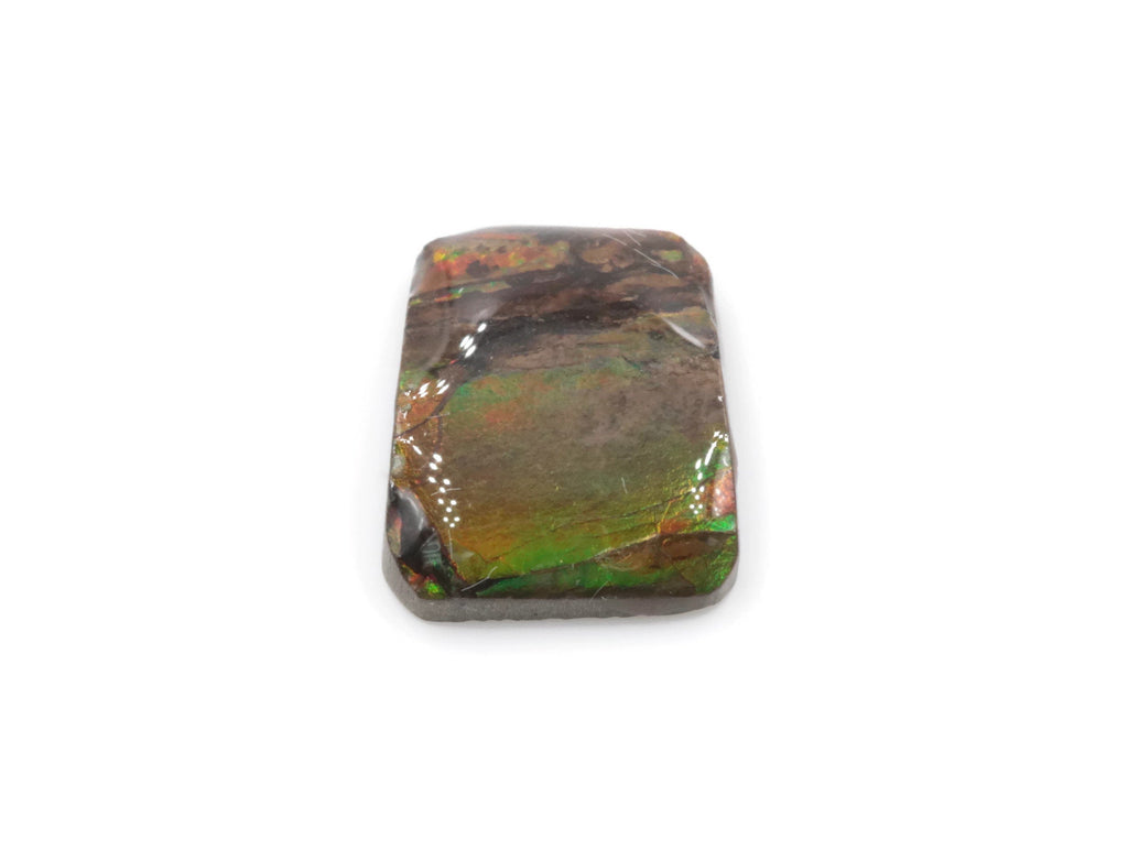 Ammolite Fancy shape-Planet Gemstones