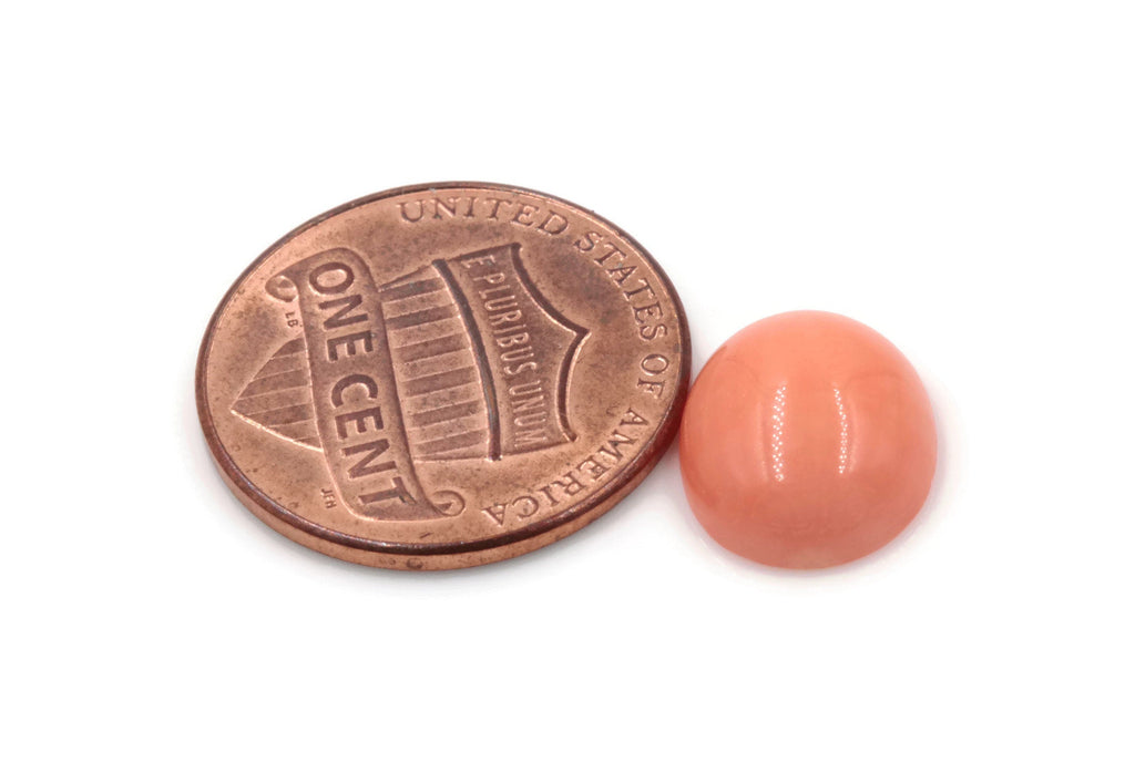 Salmon Coral 10x12mm-Planet Gemstones
