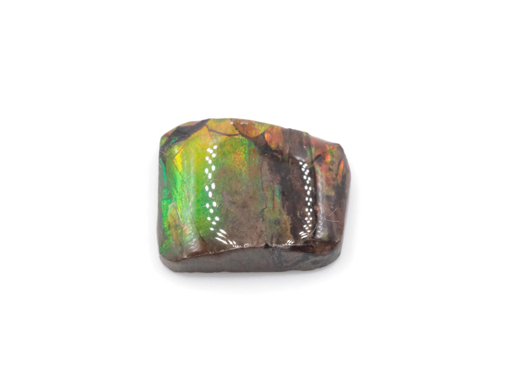 Ammolite Fancy shape-Planet Gemstones