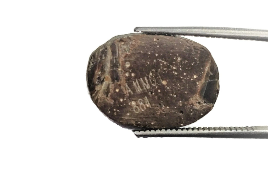 Natural Ammolite Gemstone | Cabochon Ammolite Loose Stone | Canadian Ammolite Gem | Genuine Ammolite (884) Fancy shape 5.5 ct-Planet Gemstones