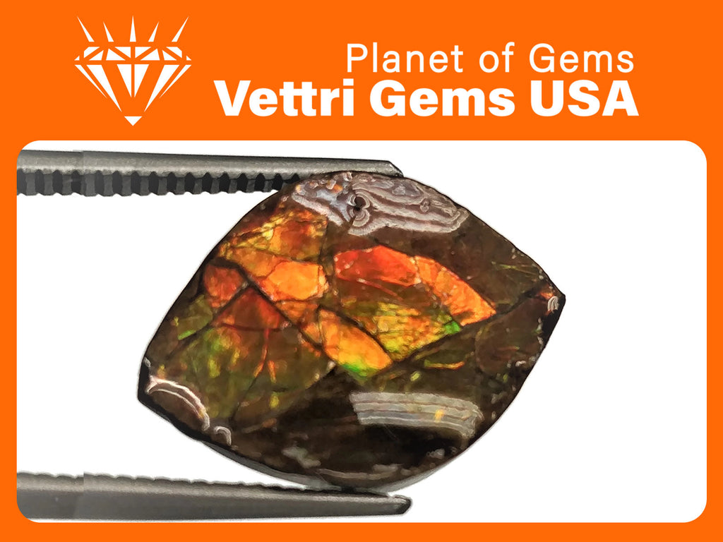 Ammolite (928) Fancy shape-Planet Gemstones