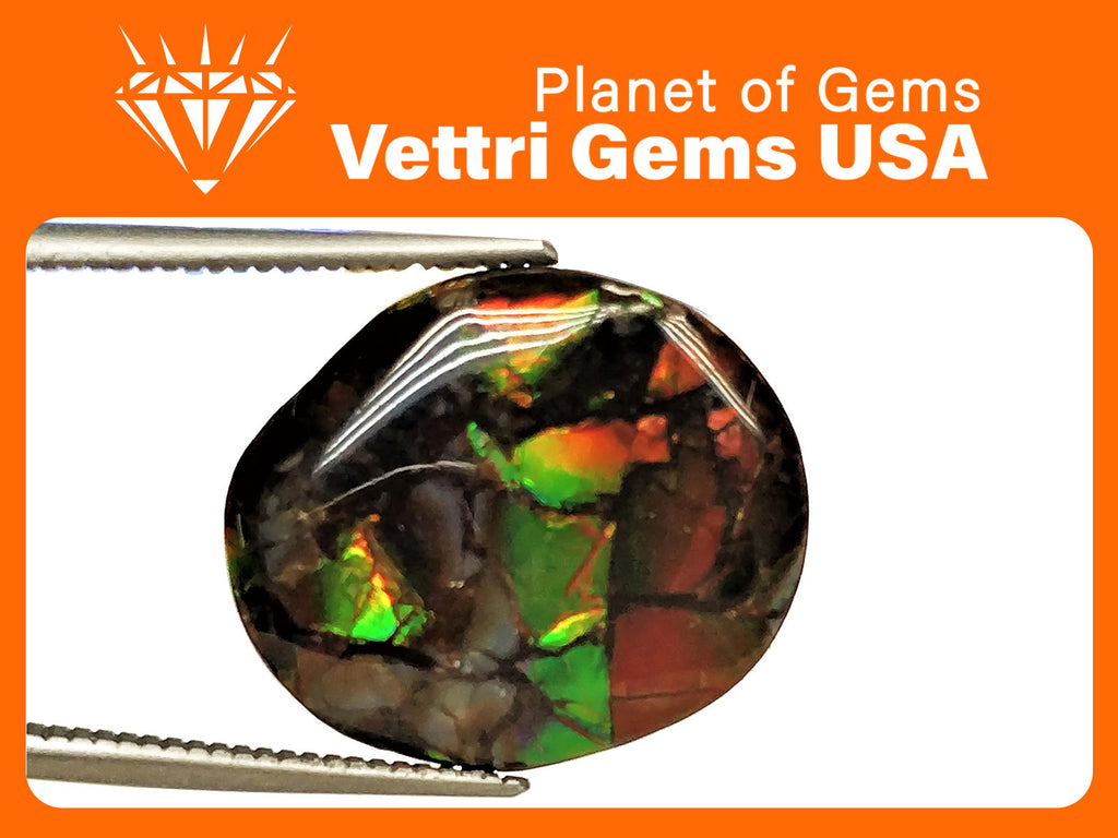 Ammolite (859) Round shape-Planet Gemstones