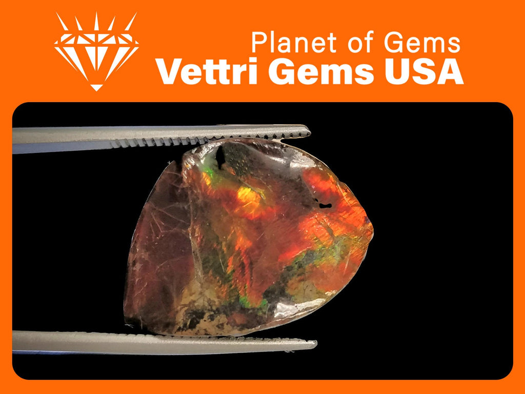 Ammolite Fancy 7cts-Planet Gemstones