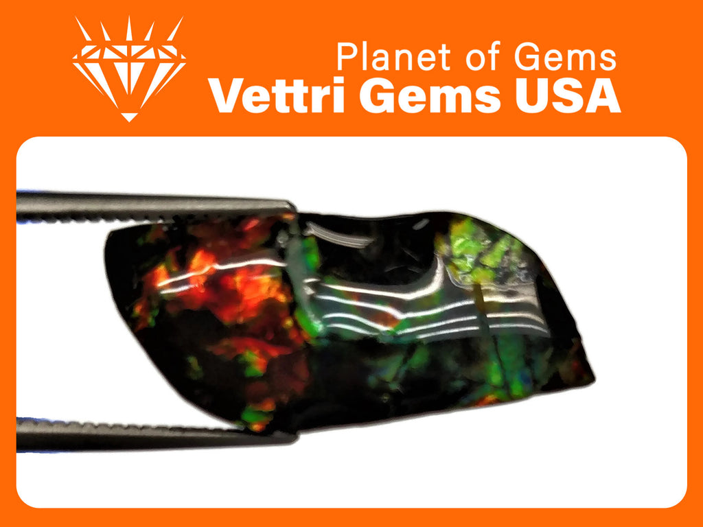 Ammolite (929) Fancy shape 5cts-Planet Gemstones