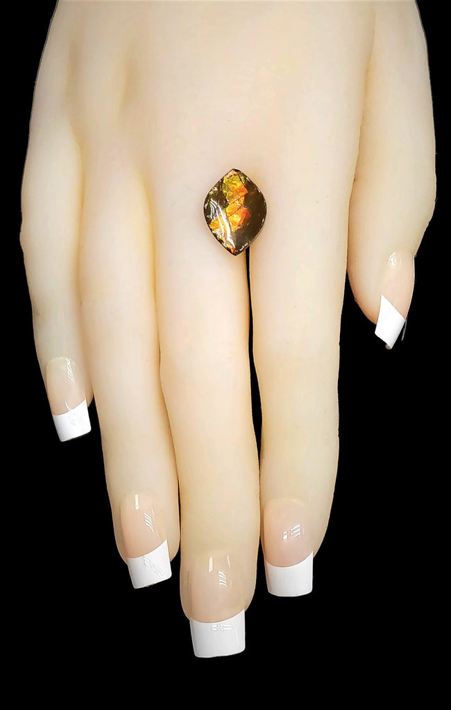 Ammolite (928) Fancy shape-Planet Gemstones