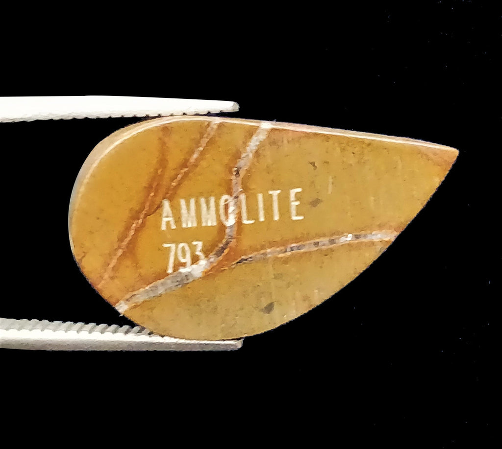 Natural Ammolite Gemstone | Cabochon Ammolite Loose Stone | Canadian Ammolite Gem | Genuine Ammolite (793) Pear shape 6.6 ct-Planet Gemstones
