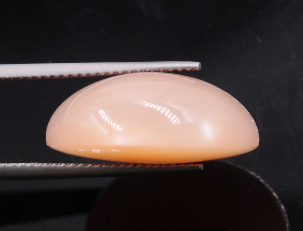 Moonstone Oval 20x15mm-Planet Gemstones